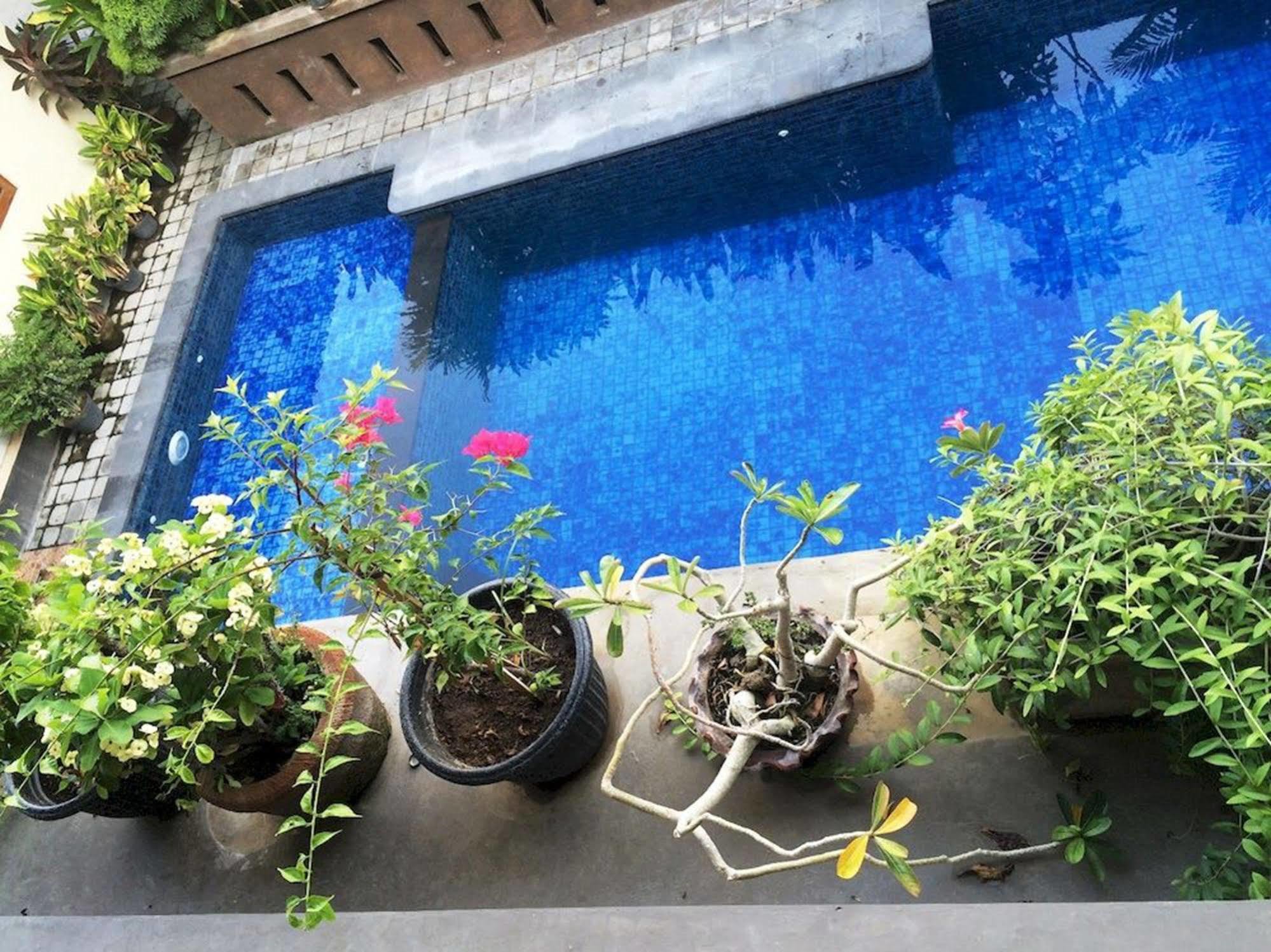 Waringin Homestay Kuta Lombok Eksteriør billede